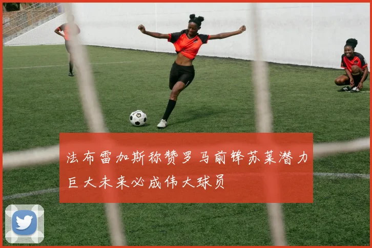 法布雷加斯称赞罗马前锋苏莱潜力巨大未来必成伟大球员