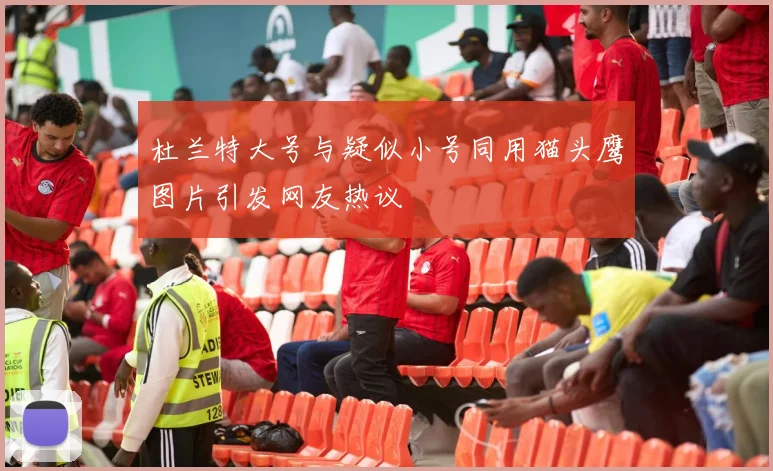 杜兰特大号与疑似小号同用猫头鹰图片引发网友热议