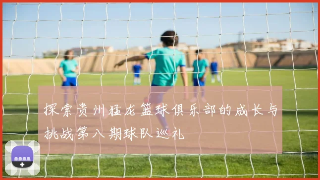 探索贵州猛龙篮球俱乐部的成长与挑战第八期球队巡礼