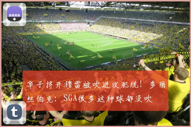 华子挤开穆雷被吹进攻犯规！多丽丝伯克：SGA很多这种球都没吹