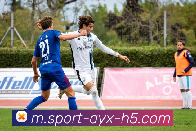 爱游戏平台生态图