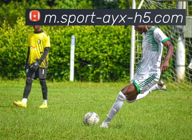 爱游戏APP 封面图